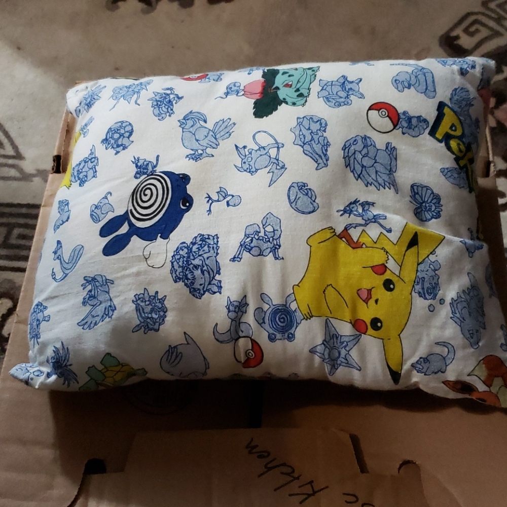 Pokemon pillow